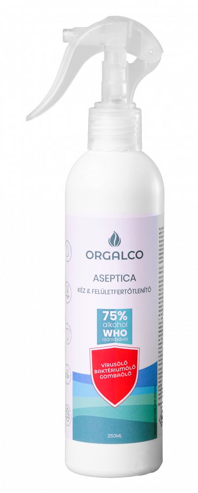 BC.KÉZ ÉS FELÜLETFERTŐTLENÍTŐ 0,25L ASEPTICA 